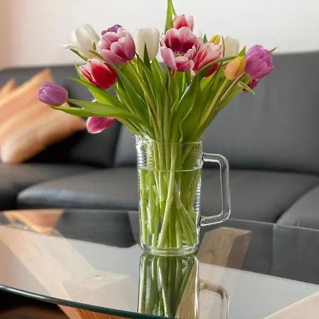 Haus Victoria - B 08 - Sonnenaufgang Apartment *